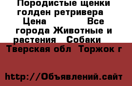 Породистые щенки голден ретривера › Цена ­ 25 000 - Все города Животные и растения » Собаки   . Тверская обл.,Торжок г.